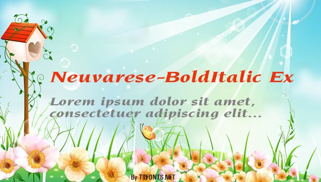 Neuvarese-BoldItalic Ex example