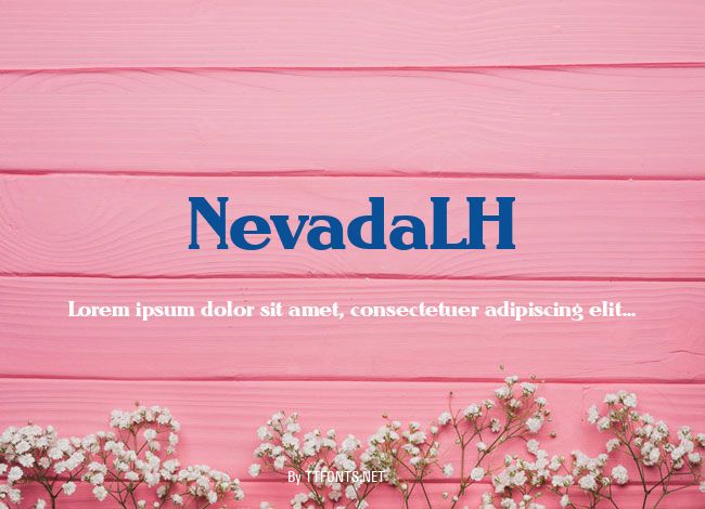NevadaLH example