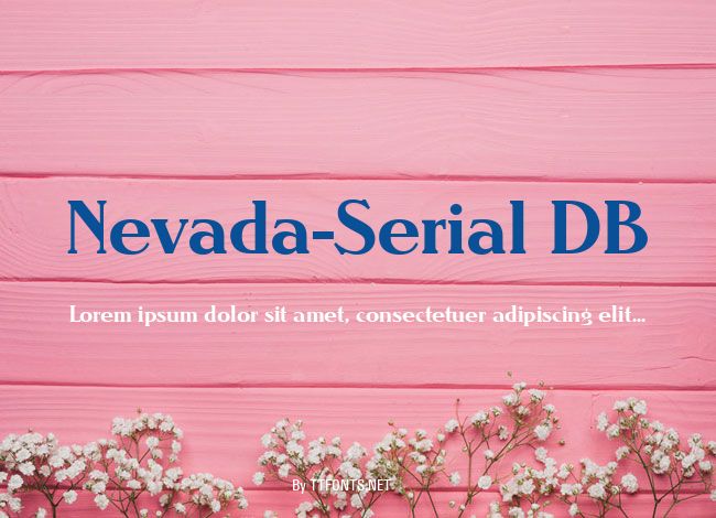 Nevada-Serial DB example