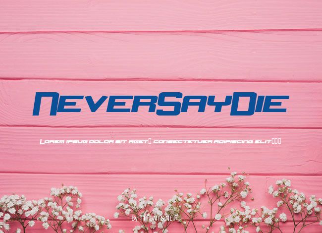 NeverSayDie example