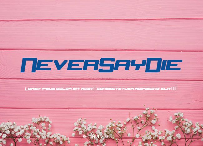NeverSayDie example