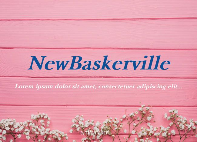 NewBaskerville example