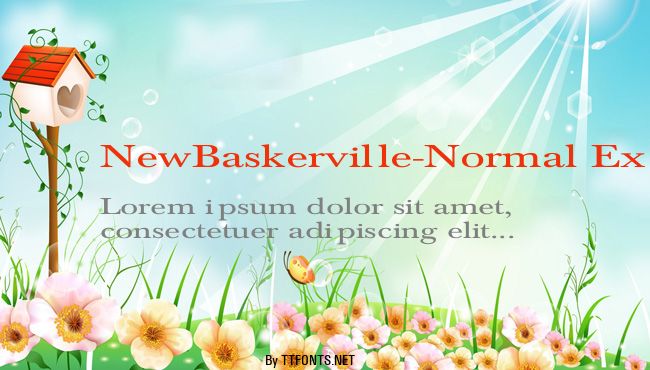 NewBaskerville-Normal Ex example