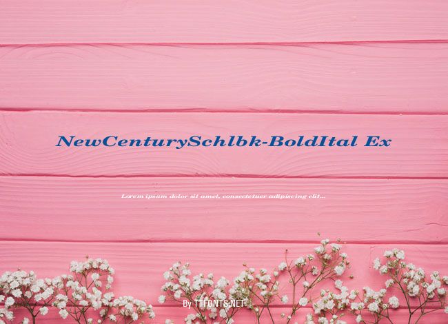 NewCenturySchlbk-BoldItal Ex example