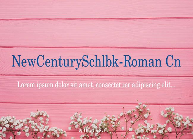 NewCenturySchlbk-Roman Cn example