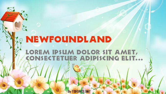 Newfoundland example