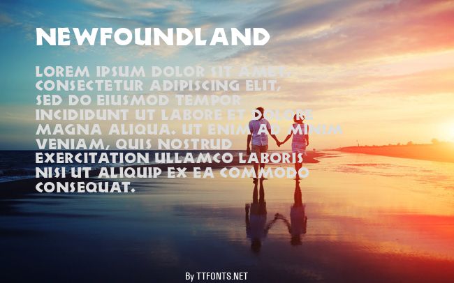 Newfoundland example