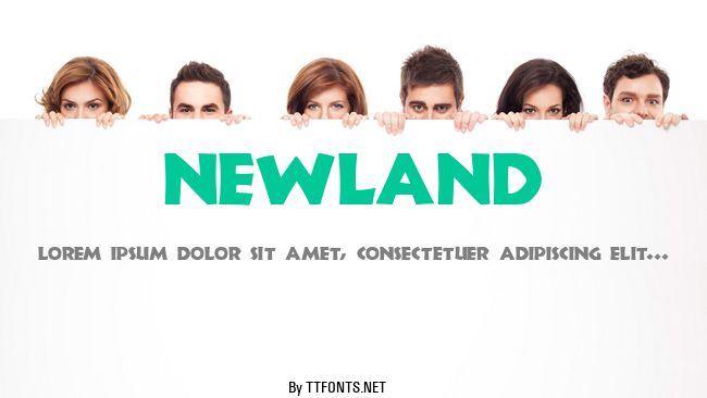 Newland example