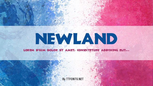 Newland example