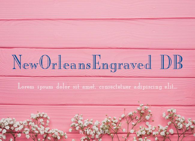 NewOrleansEngraved DB example