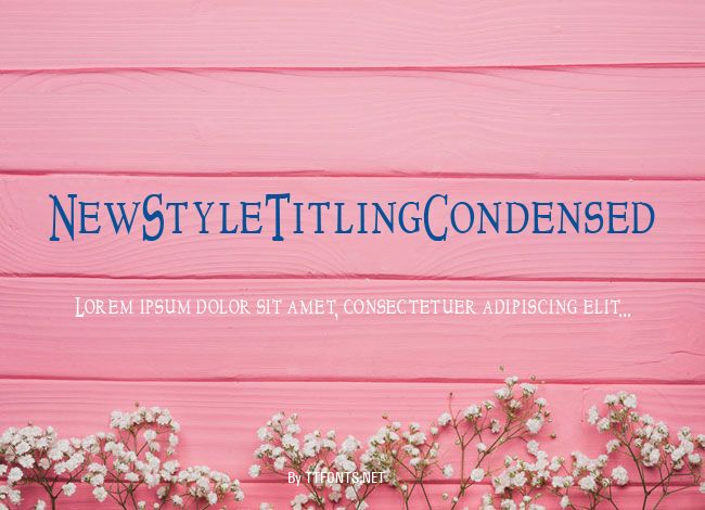 NewStyleTitlingCondensed example