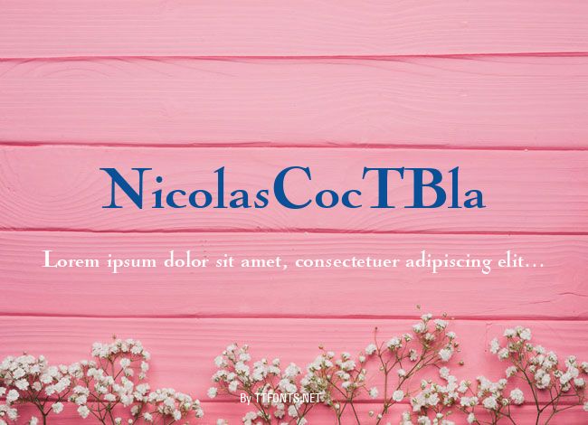 NicolasCocTBla example
