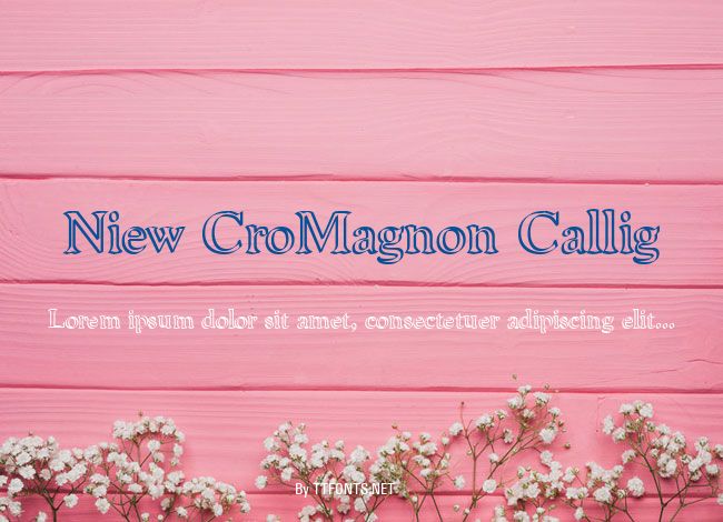 Niew CroMagnon Callig example