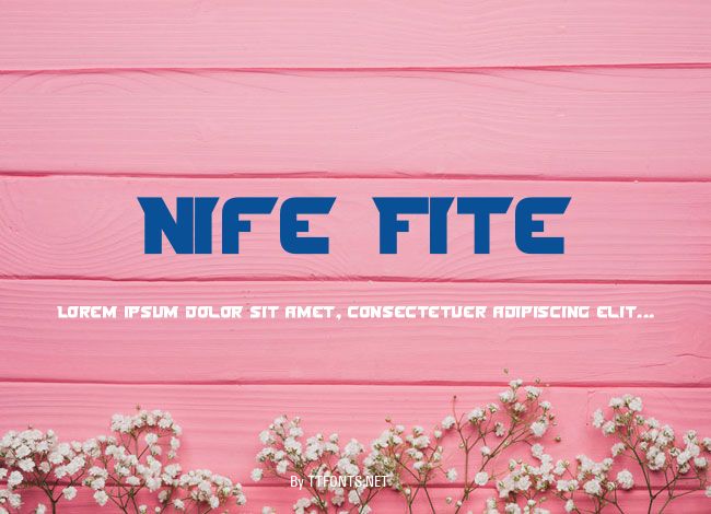 Nife Fite example