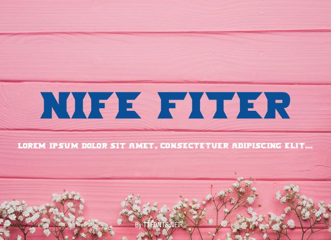 Nife Fiter example