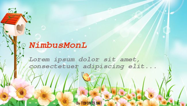 NimbusMonL example