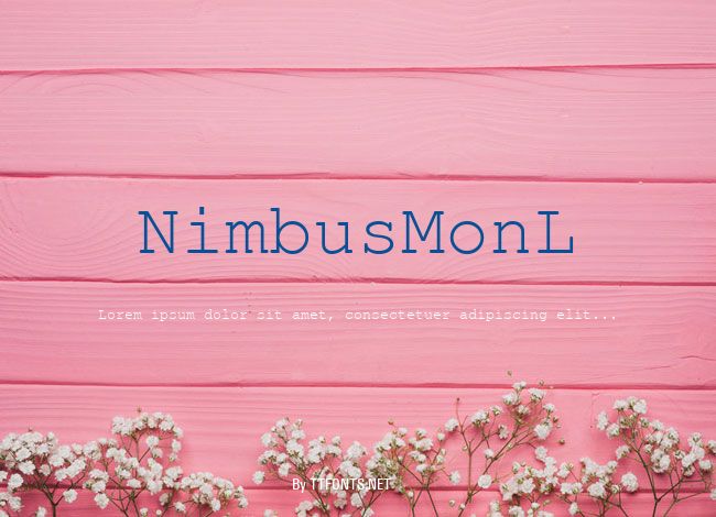 NimbusMonL example