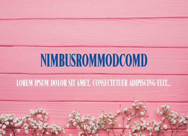 NimbusRomModComD example