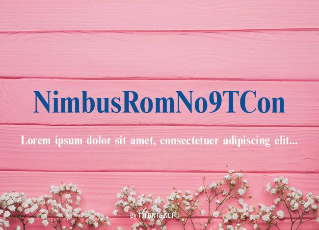 NimbusRomNo9TCon example