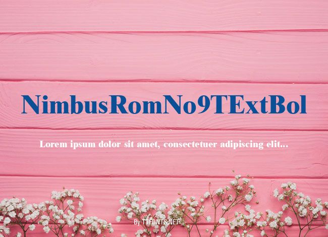 NimbusRomNo9TExtBol example
