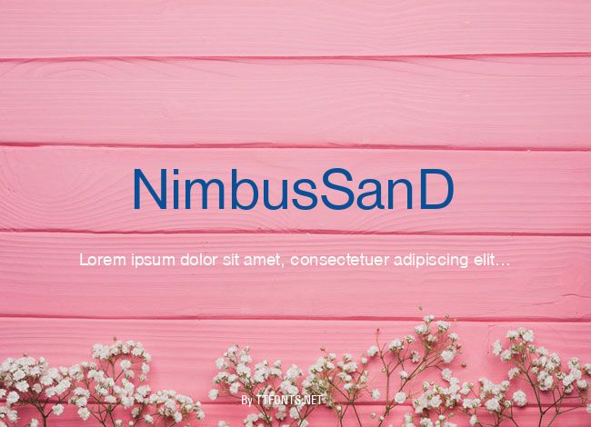 NimbusSanD example