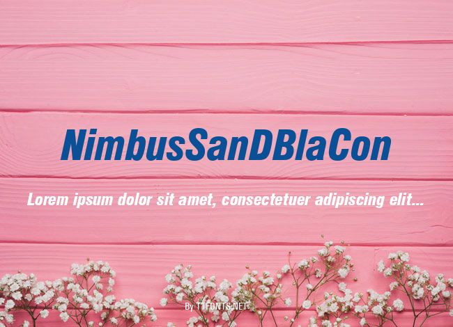 NimbusSanDBlaCon example