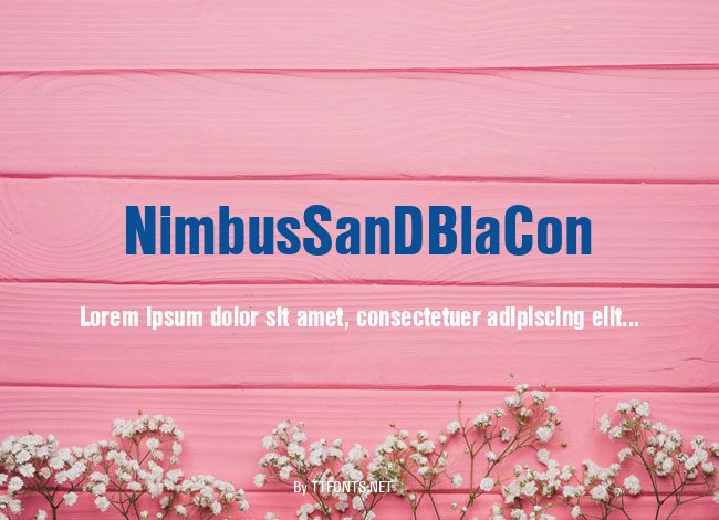 NimbusSanDBlaCon example
