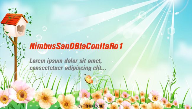 NimbusSanDBlaConItaRo1 example