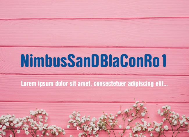 NimbusSanDBlaConRo1 example