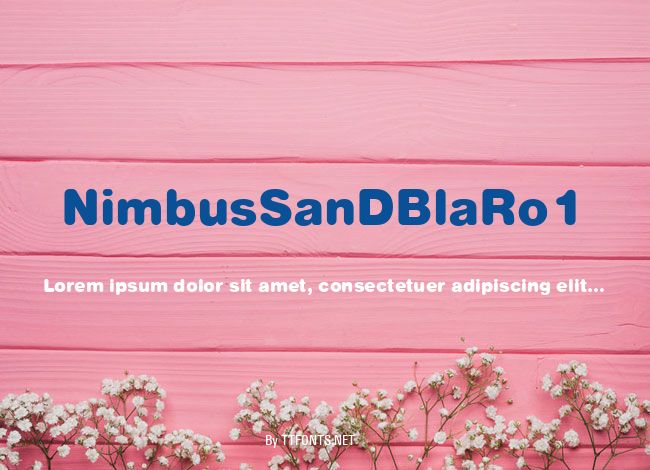 NimbusSanDBlaRo1 example