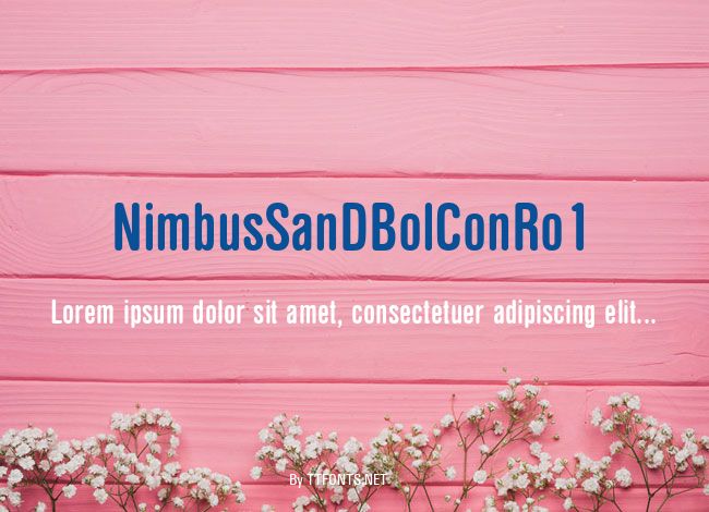 NimbusSanDBolConRo1 example