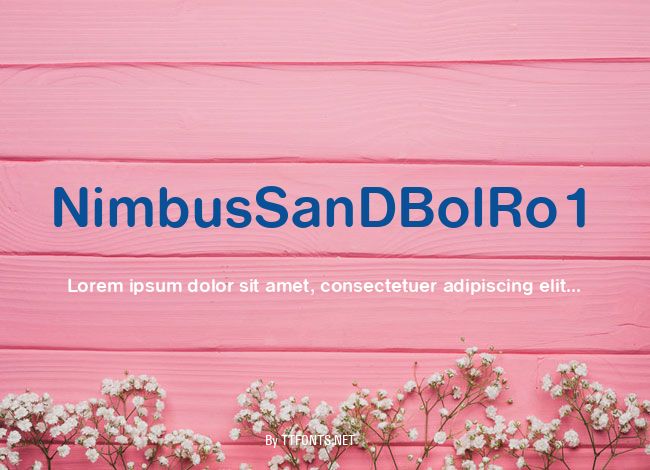 NimbusSanDBolRo1 example