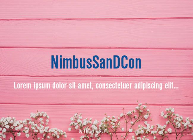 NimbusSanDCon example