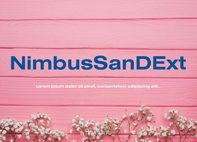 NimbusSanDExt example