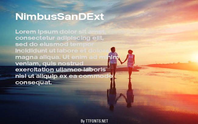 NimbusSanDExt example