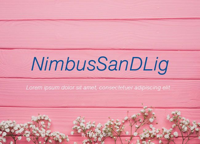 NimbusSanDLig example