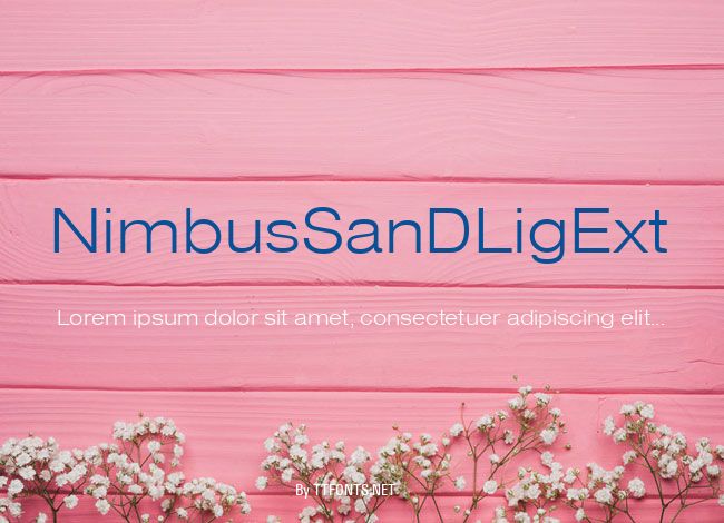 NimbusSanDLigExt example