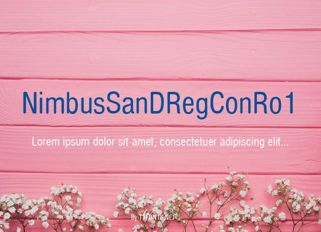 NimbusSanDRegConRo1 example