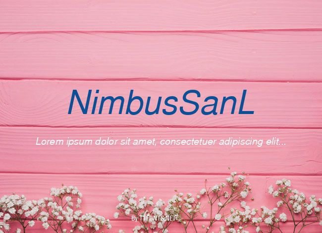 NimbusSanL example