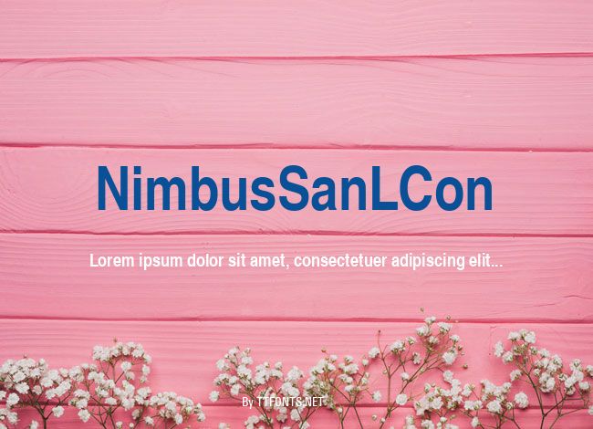 NimbusSanLCon example