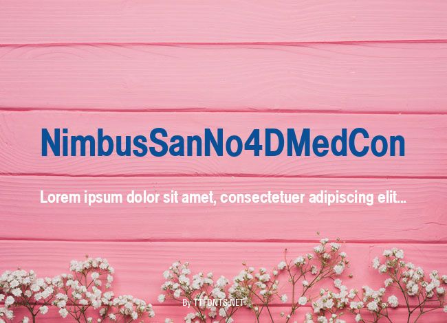 NimbusSanNo4DMedCon example