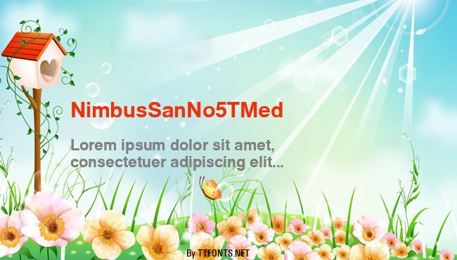 NimbusSanNo5TMed example