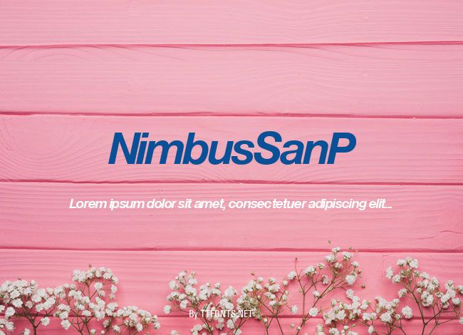 NimbusSanP example