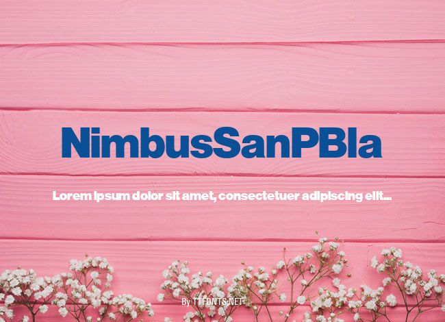 NimbusSanPBla example