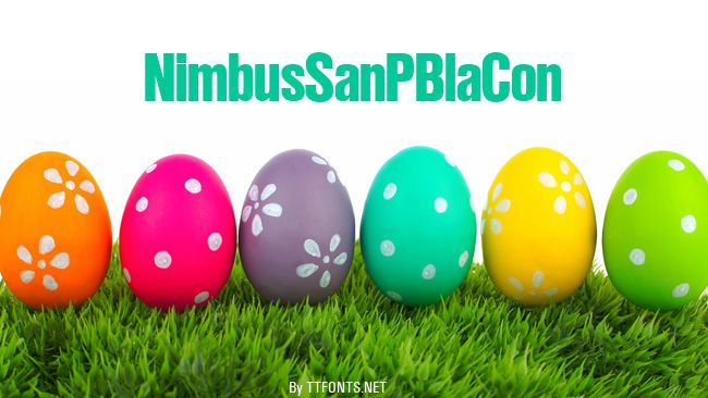 NimbusSanPBlaCon example