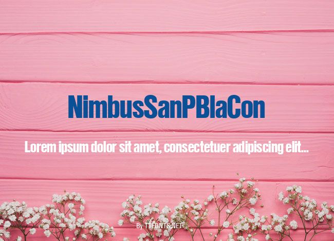 NimbusSanPBlaCon example