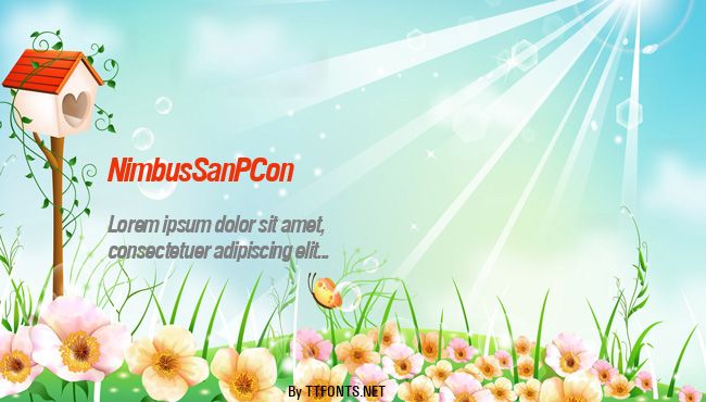 NimbusSanPCon example