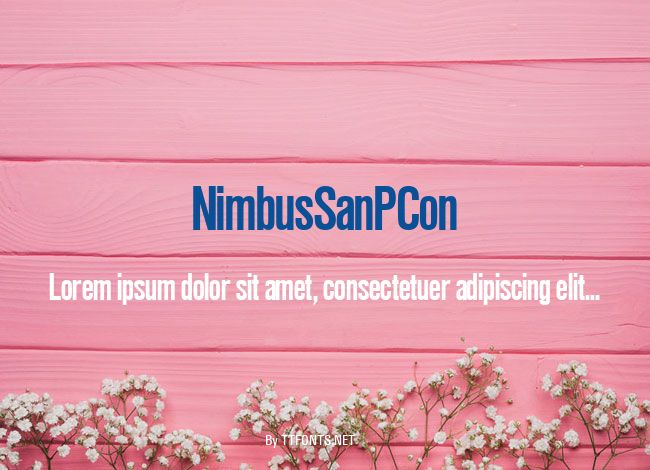 NimbusSanPCon example