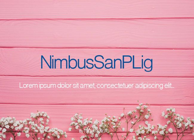 NimbusSanPLig example