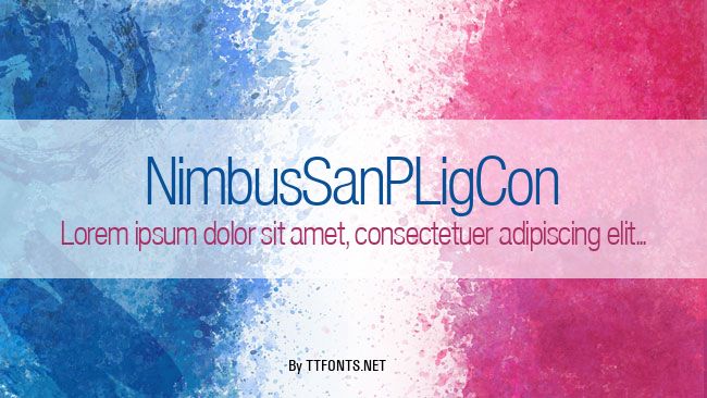 NimbusSanPLigCon example